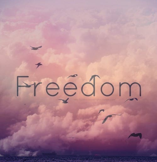 fifth-freedom-whats-that