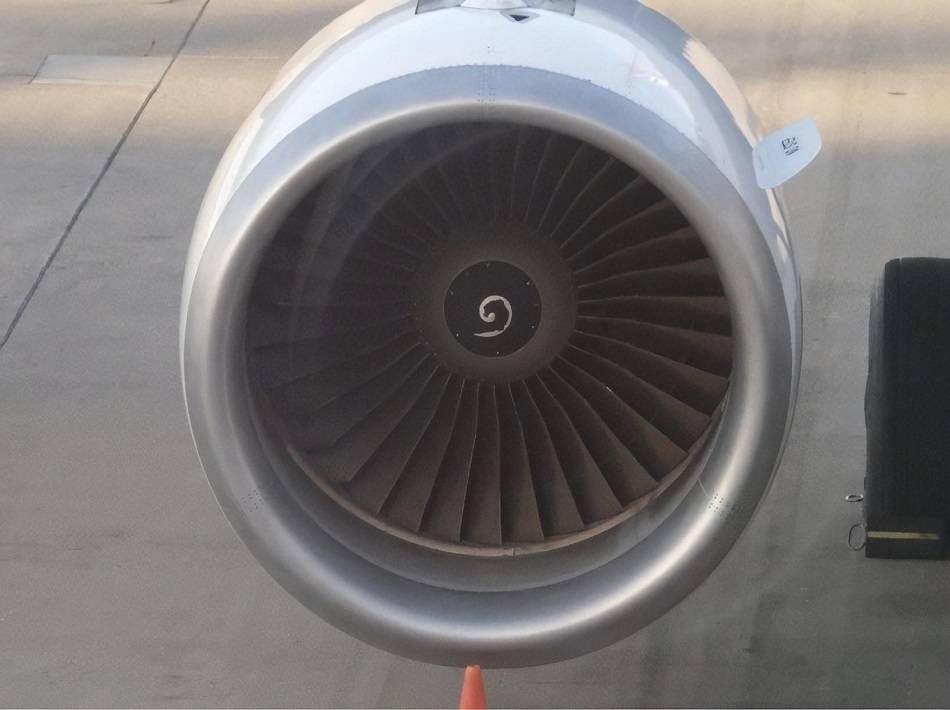 Edelweiss A320 Rejects Takeoff After Bird Strike