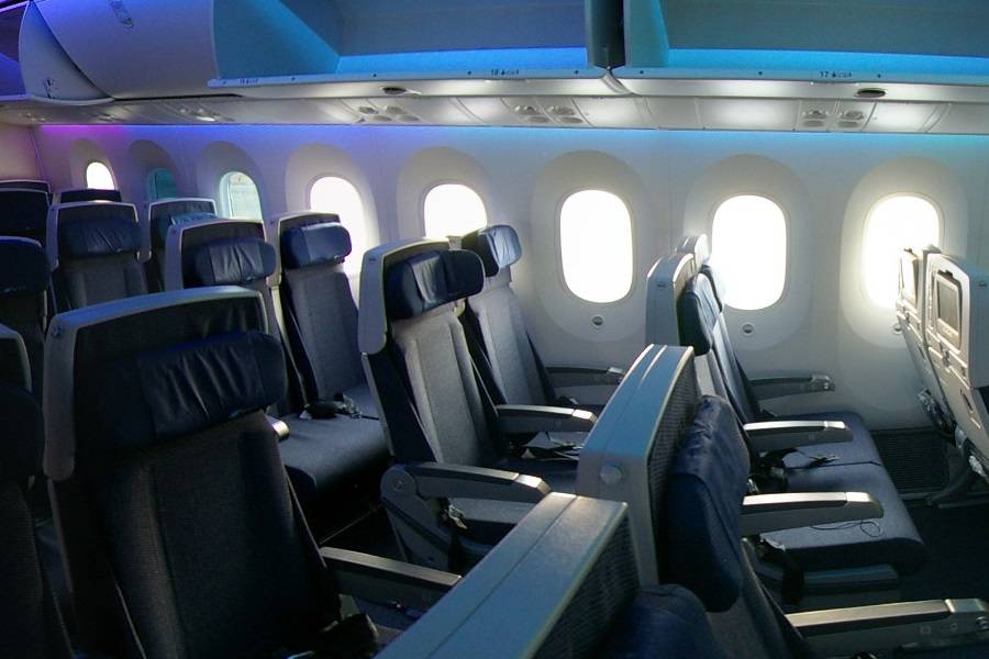 787 Dimmable Window Shows Signs Of Burning In Flight?