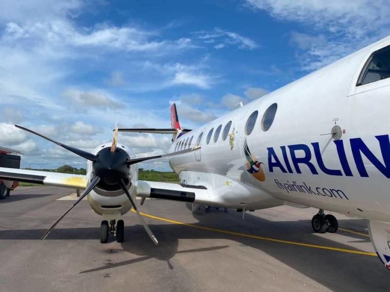 ACCIDENT: Propeller Penetrates Cabin After Bird Strike!