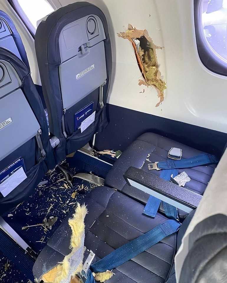 ACCIDENT: Propeller Penetrates Cabin After Bird Strike!