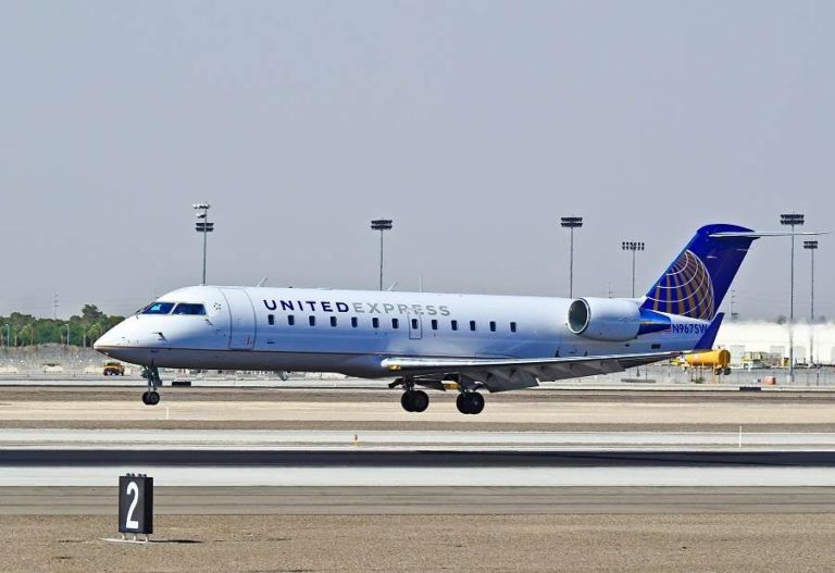 INCIDENT: CRJ-200 Hits Birds But Stays In Service!