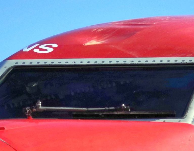 INCIDENT: 737 Fuselage Dent From Bird Strike!