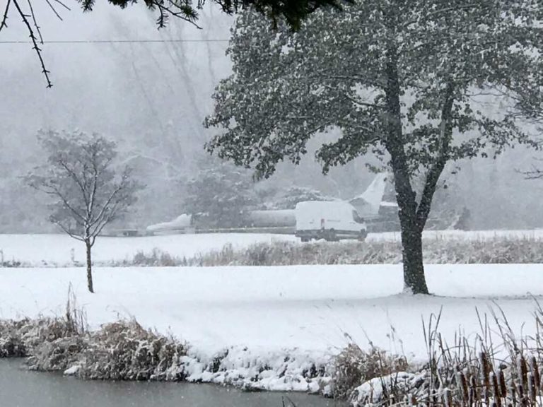 Plane Load Of DOGS Crash Lands In Golf Course!