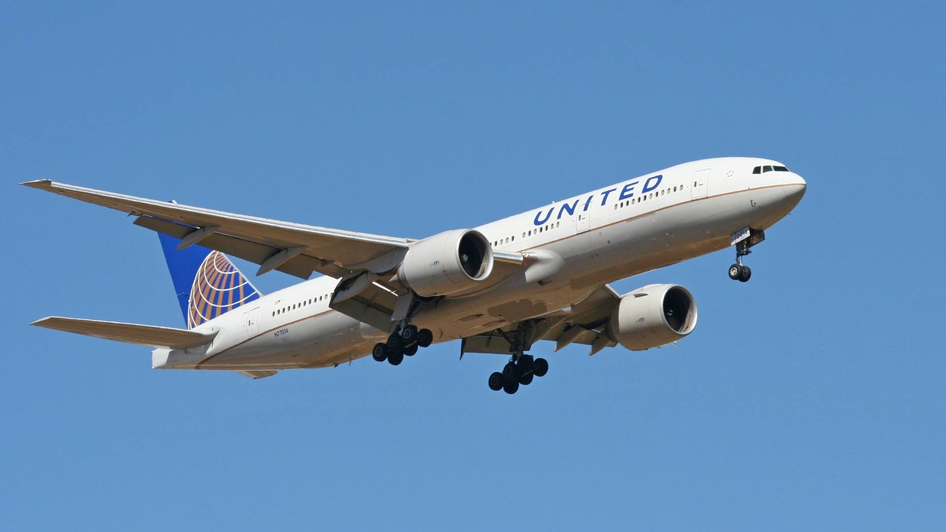 INCIDENT: United 777 Suffers Bird Strike On Radome